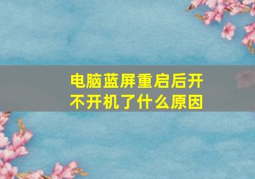 电脑蓝屏重启后开不开机了什么原因