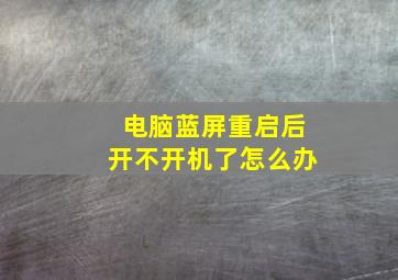 电脑蓝屏重启后开不开机了怎么办