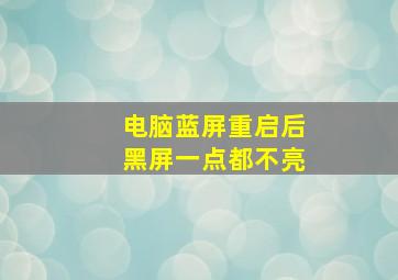 电脑蓝屏重启后黑屏一点都不亮