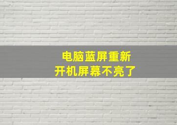 电脑蓝屏重新开机屏幕不亮了