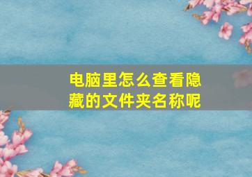 电脑里怎么查看隐藏的文件夹名称呢