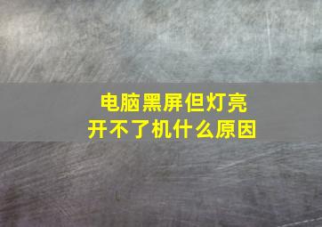 电脑黑屏但灯亮开不了机什么原因