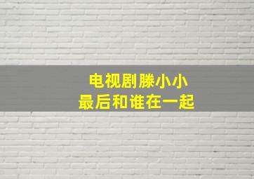 电视剧滕小小最后和谁在一起