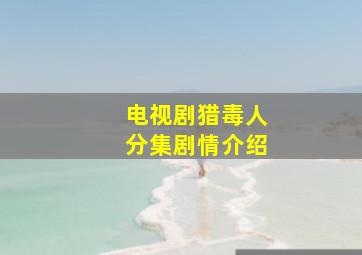 电视剧猎毒人分集剧情介绍