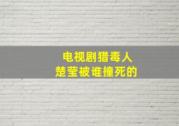 电视剧猎毒人楚莹被谁撞死的