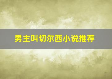 男主叫切尔西小说推荐