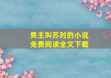 男主叫苏时的小说免费阅读全文下载