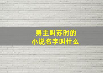 男主叫苏时的小说名字叫什么