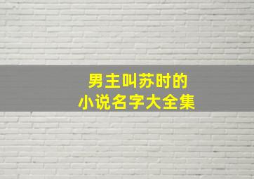 男主叫苏时的小说名字大全集