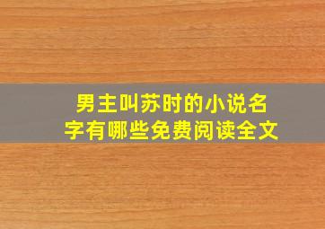 男主叫苏时的小说名字有哪些免费阅读全文