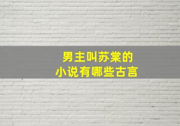 男主叫苏棠的小说有哪些古言