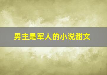 男主是军人的小说甜文