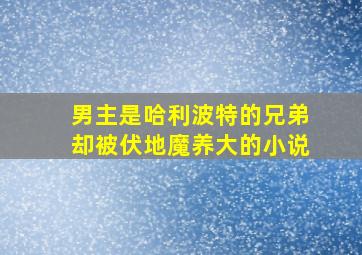 男主是哈利波特的兄弟却被伏地魔养大的小说