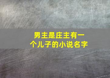 男主是庄主有一个儿子的小说名字