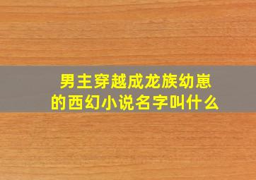 男主穿越成龙族幼崽的西幻小说名字叫什么