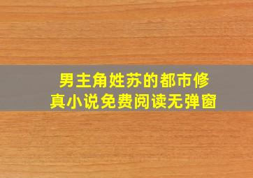 男主角姓苏的都市修真小说免费阅读无弹窗