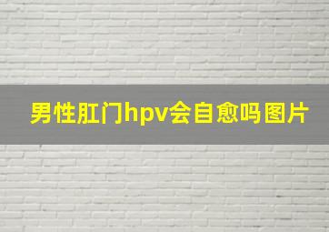 男性肛门hpv会自愈吗图片