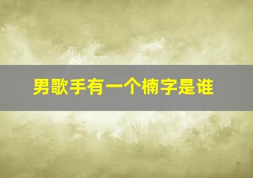 男歌手有一个楠字是谁