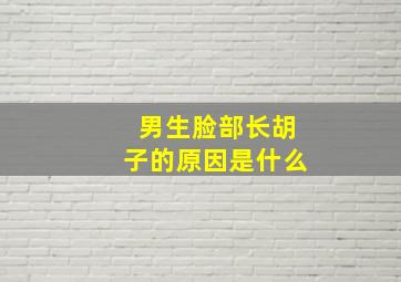 男生脸部长胡子的原因是什么