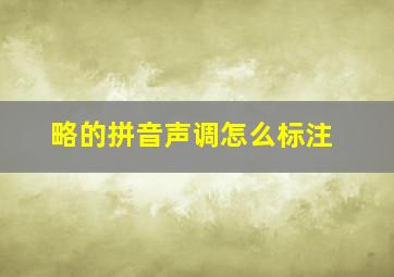 略的拼音声调怎么标注