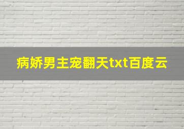 病娇男主宠翻天txt百度云