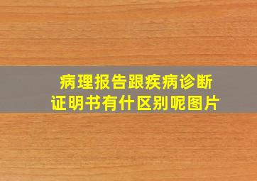 病理报告跟疾病诊断证明书有什区别呢图片