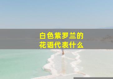 白色紫罗兰的花语代表什么