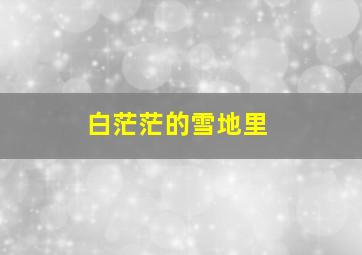 白茫茫的雪地里