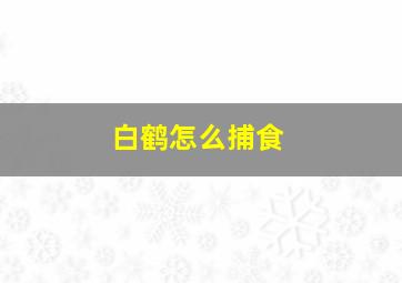 白鹤怎么捕食