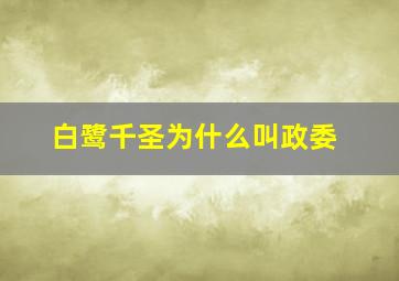 白鹭千圣为什么叫政委