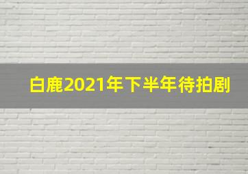 白鹿2021年下半年待拍剧