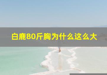 白鹿80斤胸为什么这么大