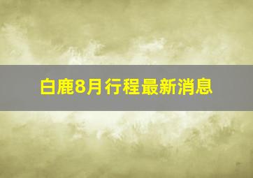 白鹿8月行程最新消息