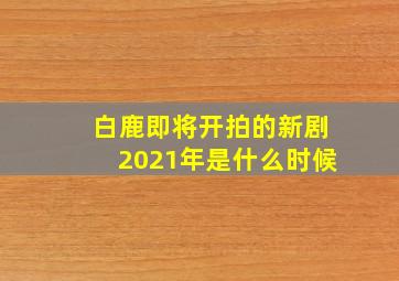 白鹿即将开拍的新剧2021年是什么时候