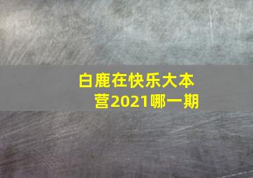 白鹿在快乐大本营2021哪一期