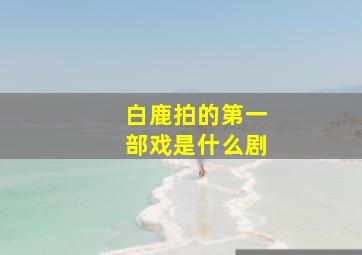 白鹿拍的第一部戏是什么剧