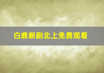 白鹿新剧北上免费观看