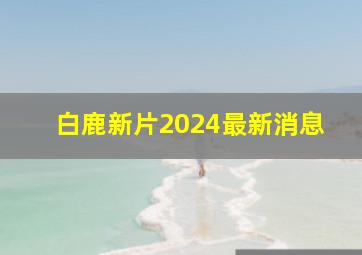 白鹿新片2024最新消息