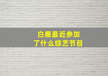 白鹿最近参加了什么综艺节目