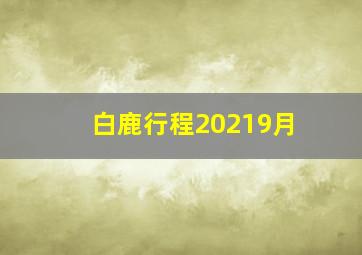 白鹿行程20219月