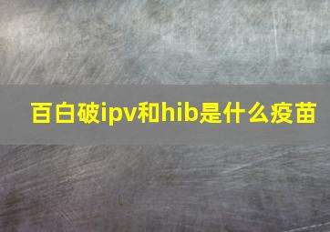 百白破ipv和hib是什么疫苗