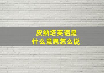 皮纳塔英语是什么意思怎么说