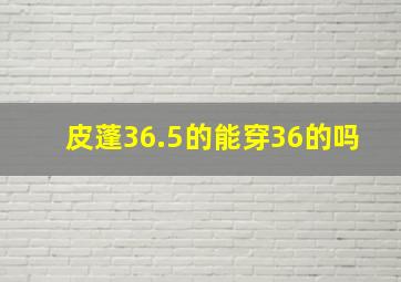 皮蓬36.5的能穿36的吗