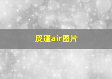 皮蓬air图片