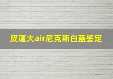 皮蓬大air尼克斯白蓝鉴定