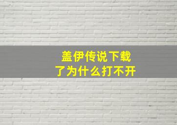 盖伊传说下载了为什么打不开