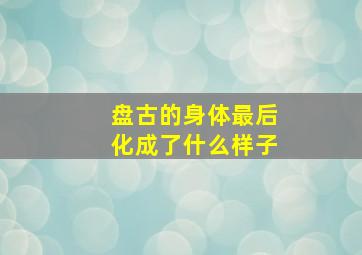 盘古的身体最后化成了什么样子