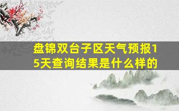 盘锦双台子区天气预报15天查询结果是什么样的