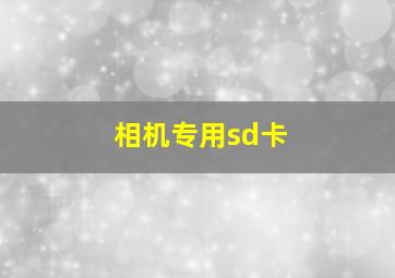 相机专用sd卡