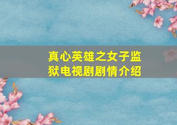 真心英雄之女子监狱电视剧剧情介绍